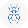 Ant Removals In Melrose