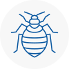 Bed Bug Extermination In Melrose