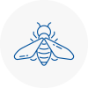 Bee Nest Removal Melrose