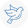 Bird Prevention Melrose