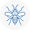 Melrose Hornet Nest Removals