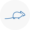 Mice Exterminators In Melrose