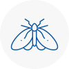 Moth Control Specialists In Melrose