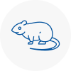Rat Control Melrose
