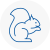 Melrose Rodent Removals